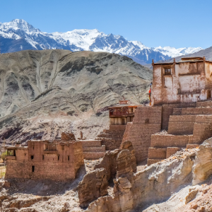 Alchi Monastery ladakh charzan holidays