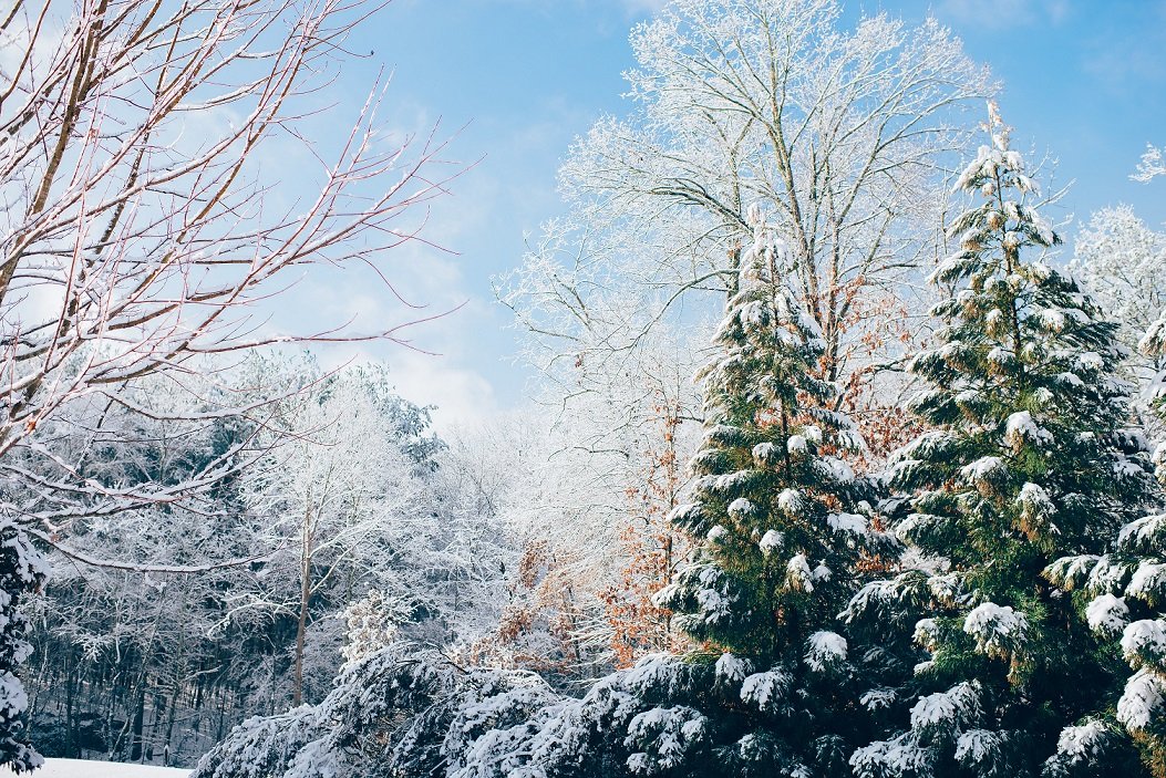 Christmas in Kashmir