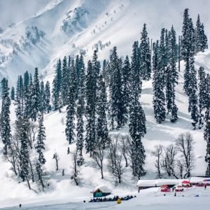 Kashmir in January