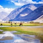 Leh to Nubra Valley