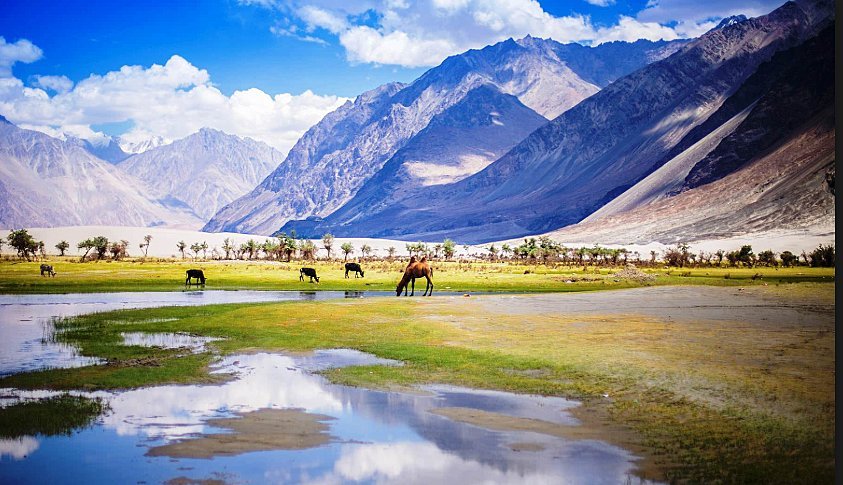 Leh to Nubra Valley charzan holidays