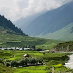 Strawberry Valley in Gulmarg