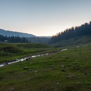 Strawberry Valley in Gulmarg charzan holidays