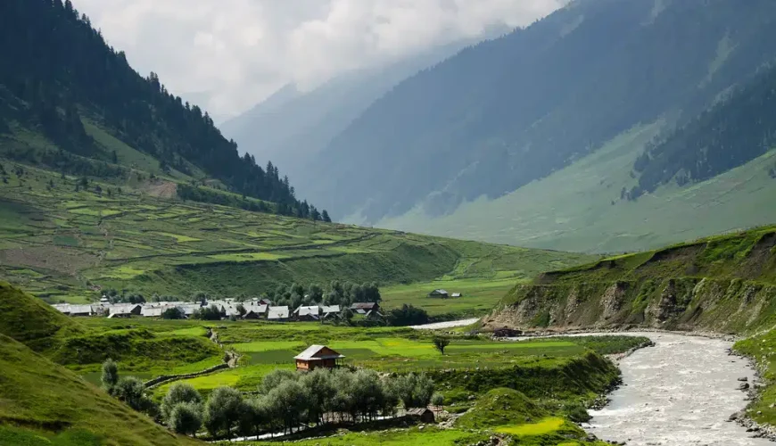 Strawberry Valley in Gulmarg