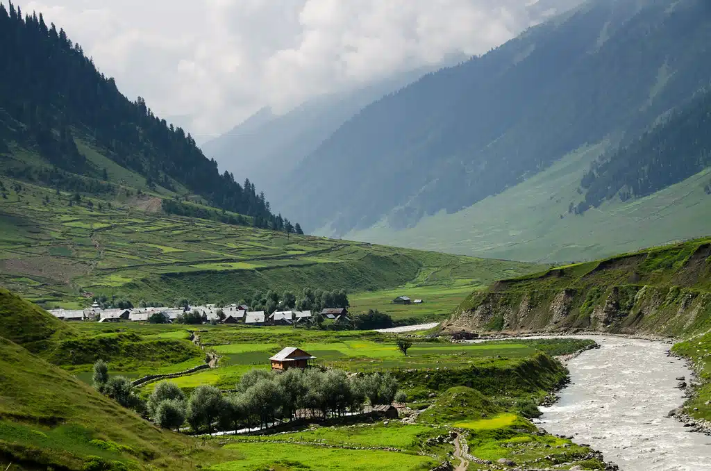 Strawberry Valley in Gulmarg